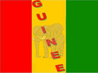 ma tr&egrave;s ch&egrave;re guin&eacute;e!